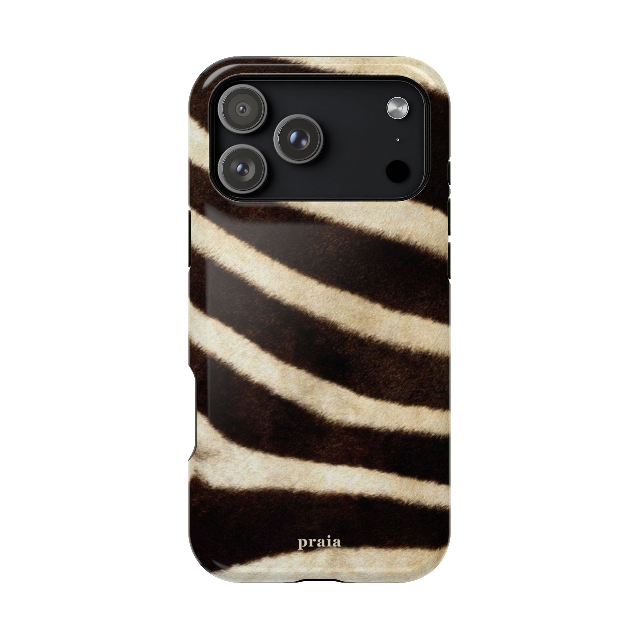 Zebra Dusk