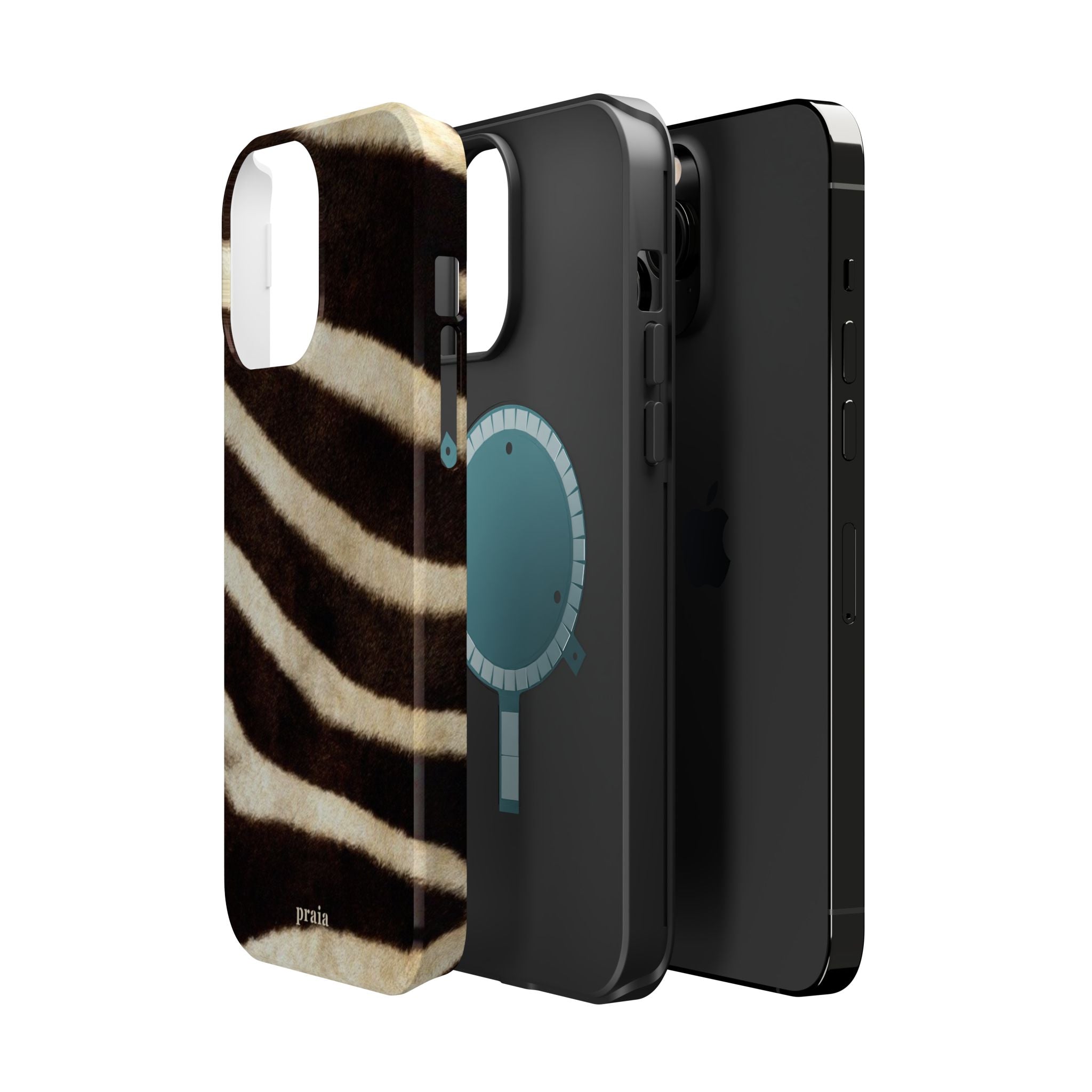 Zebra Dusk