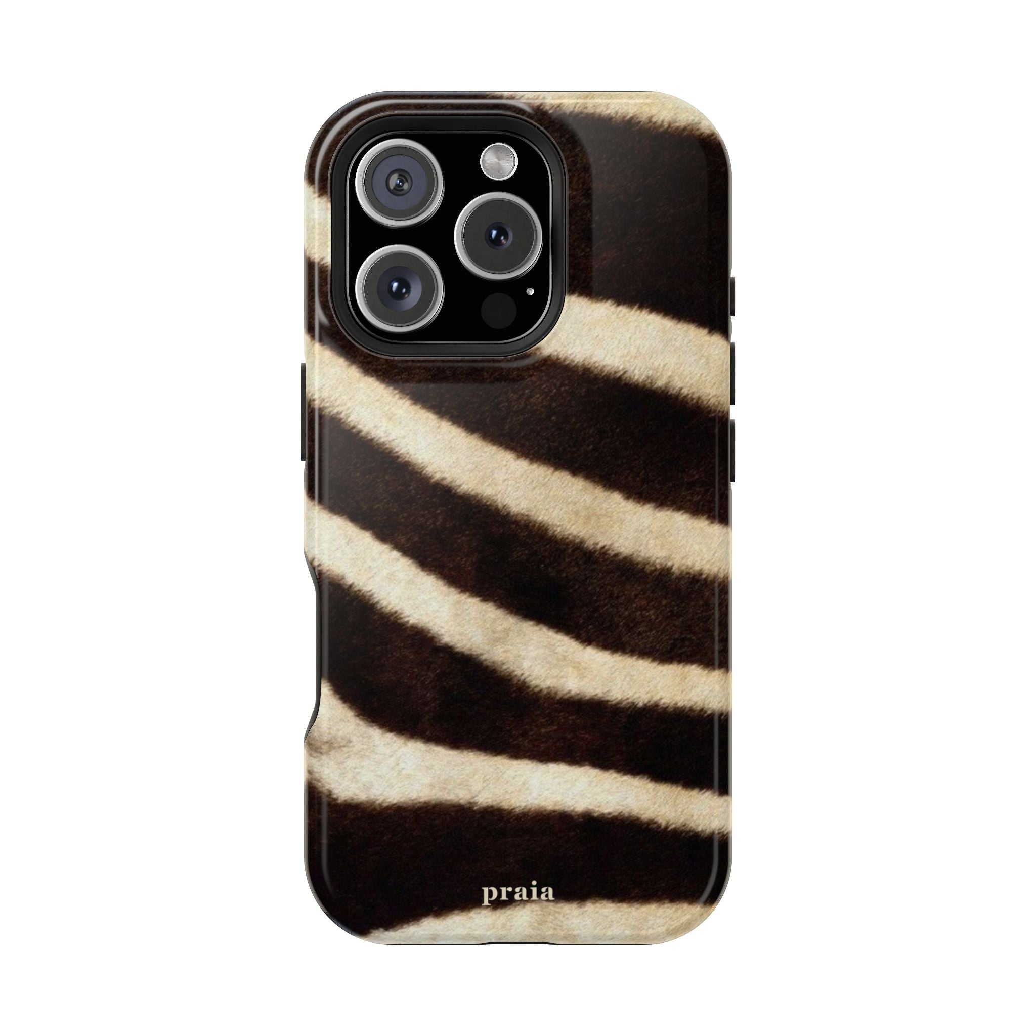 Zebra Dusk