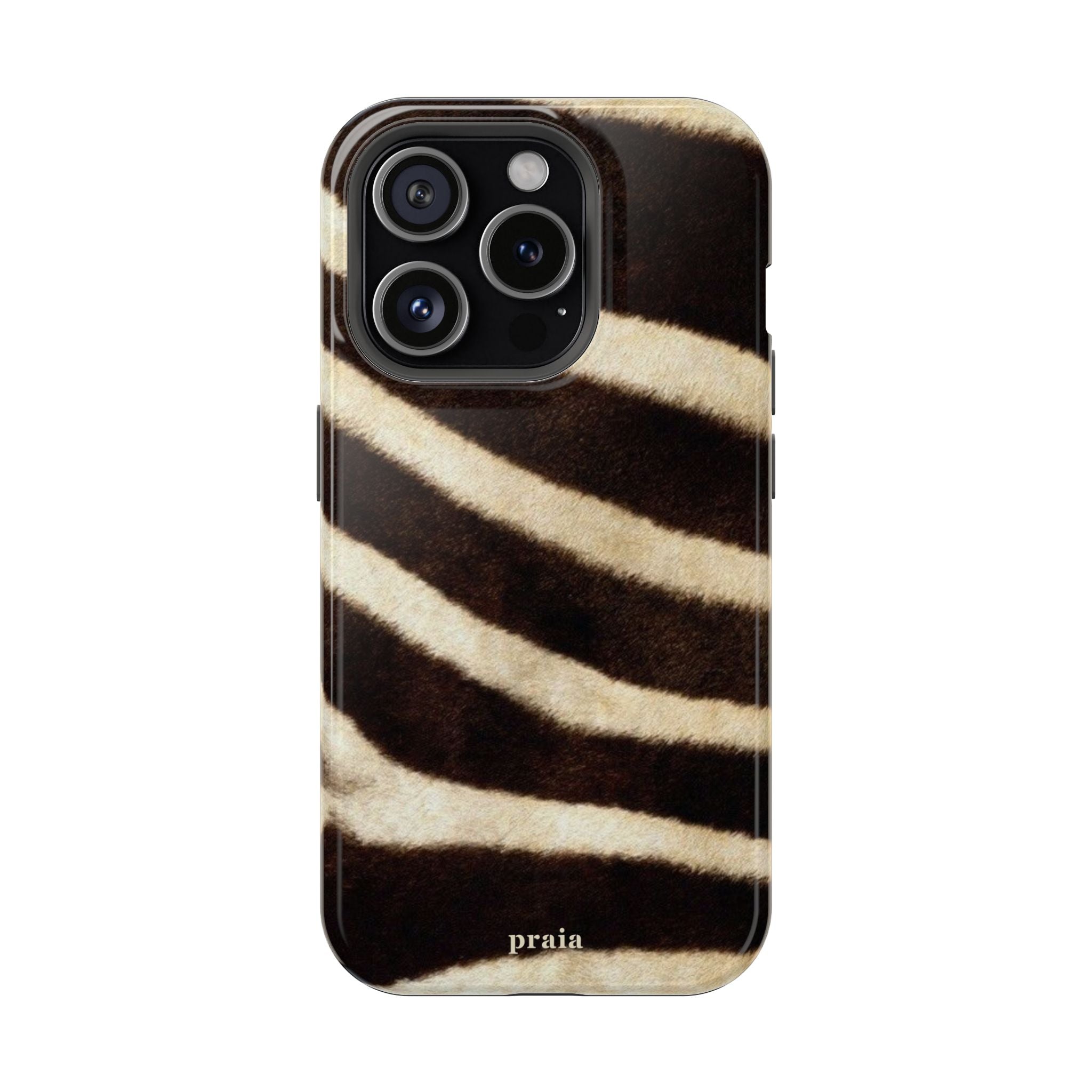 Zebra Dusk