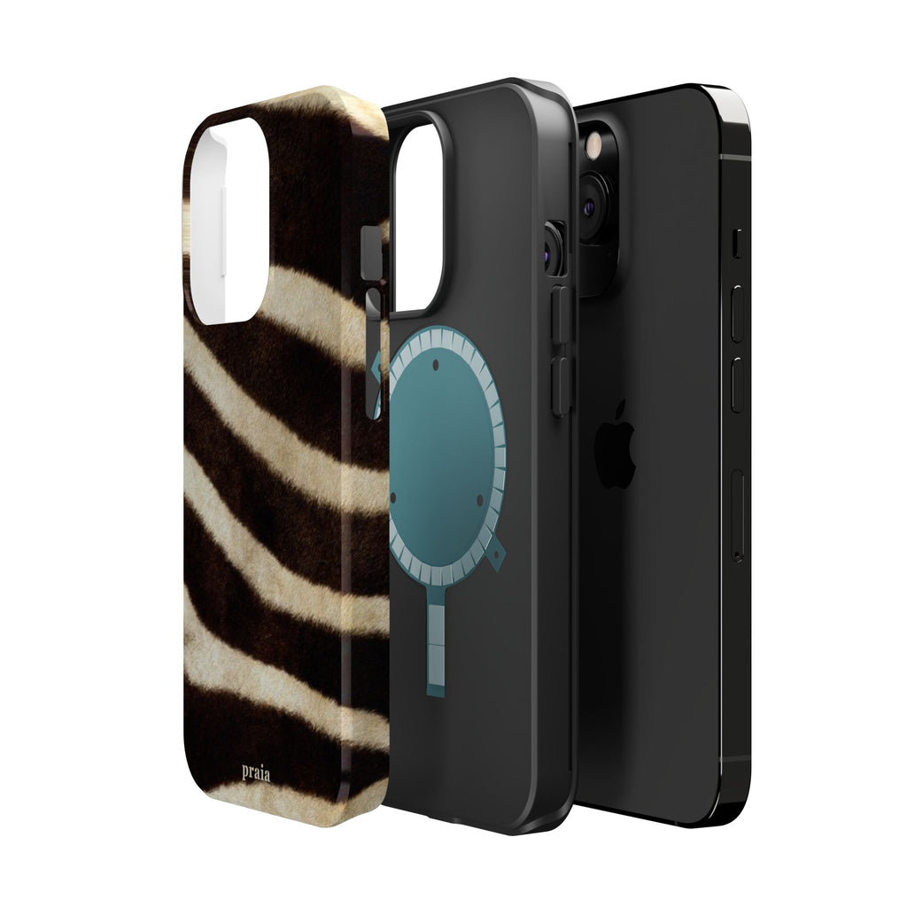 Zebra Dusk