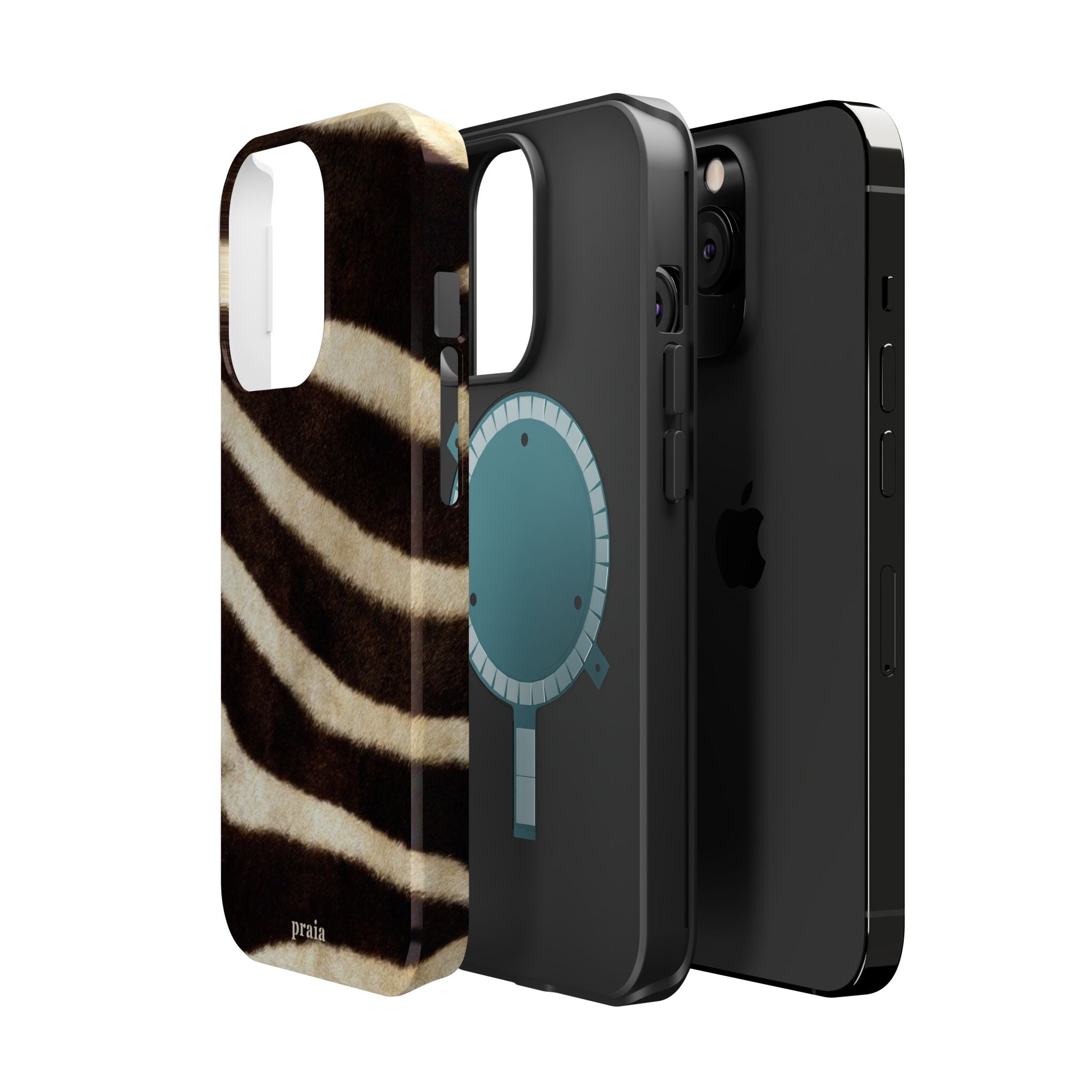 Zebra Dusk