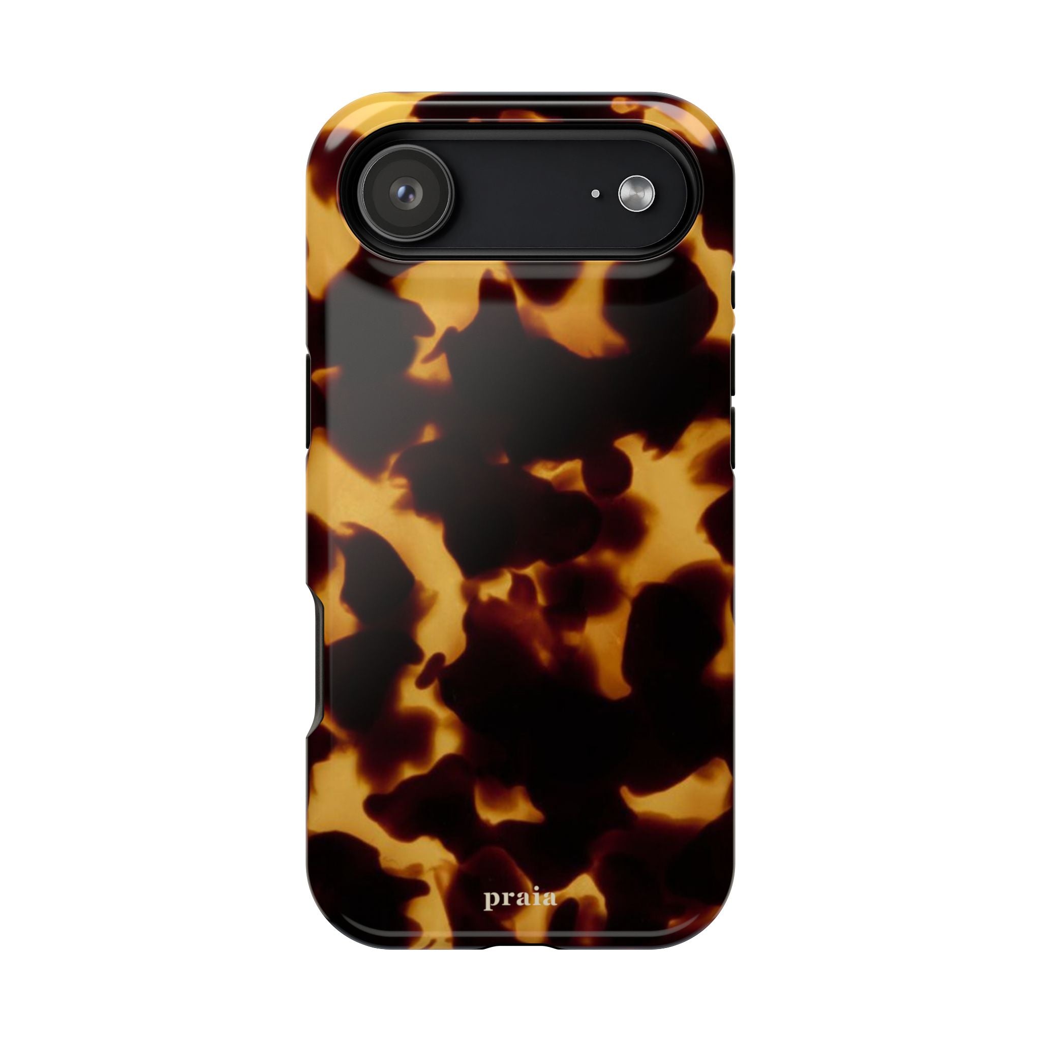 Tortoise Flame