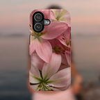 Blush Lily