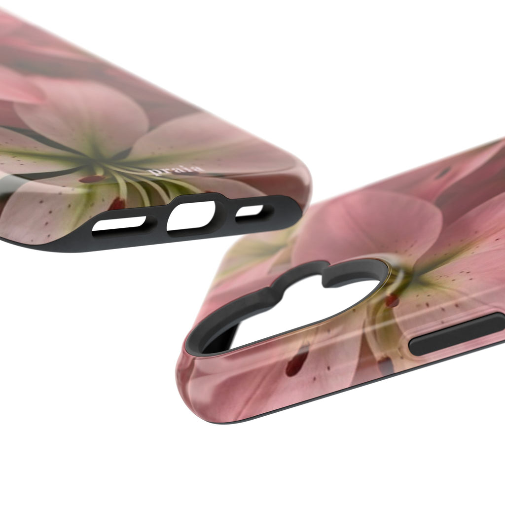 Blush Lily