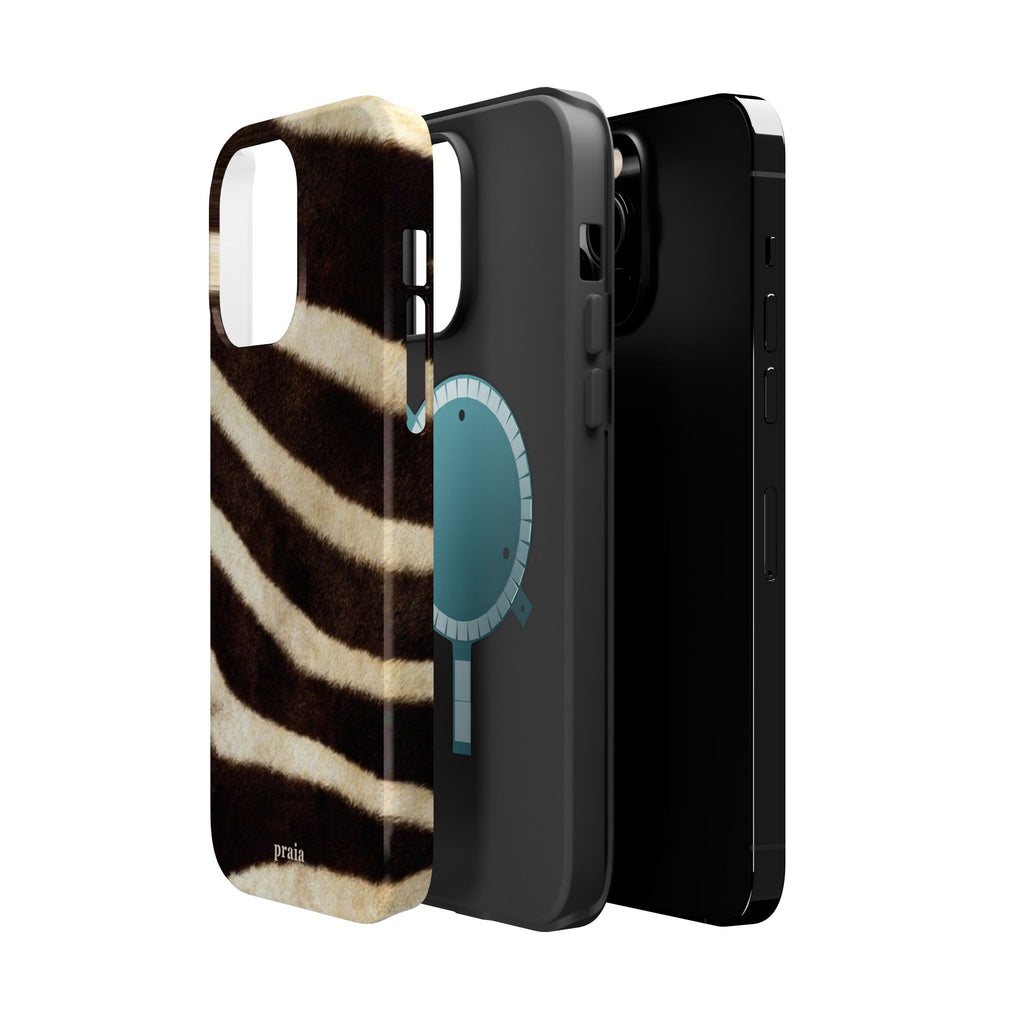 Zebra Dusk