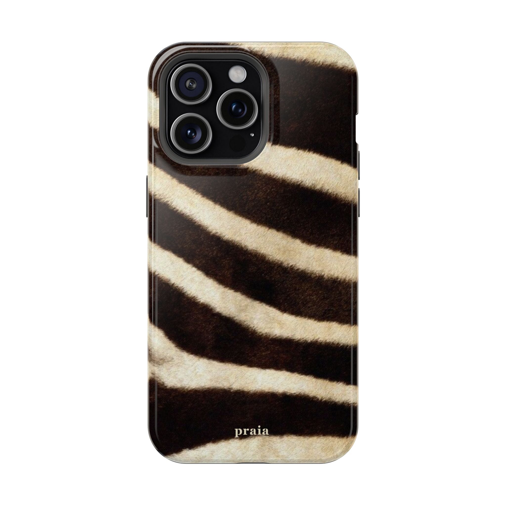 Zebra Dusk