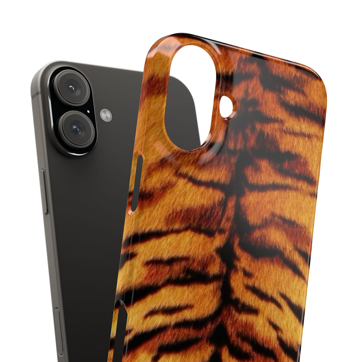 SAHARA TIGRESS