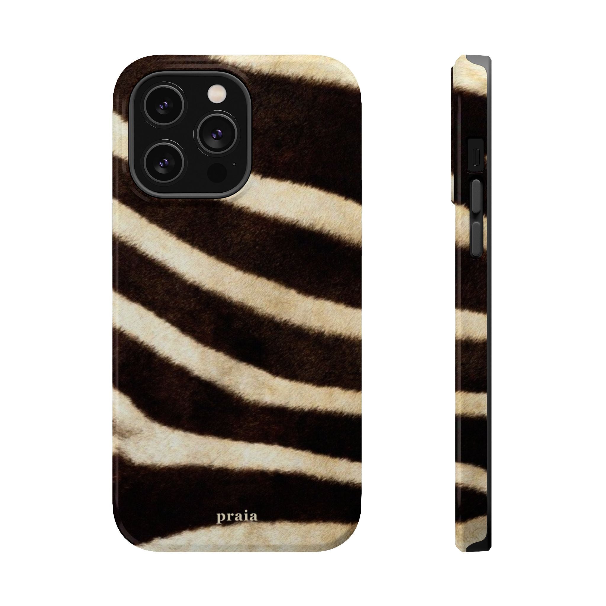 Zebra Dusk