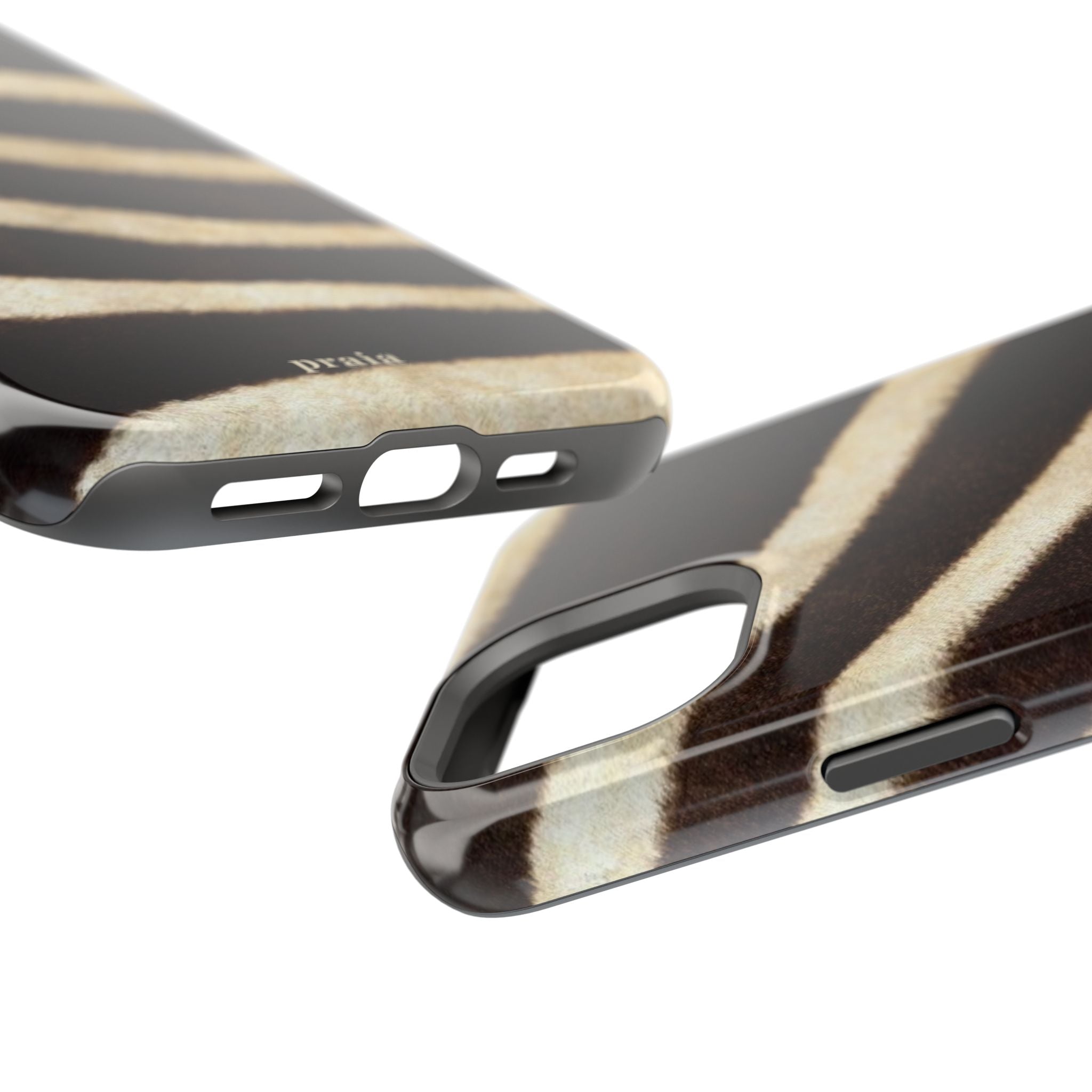Zebra Dusk