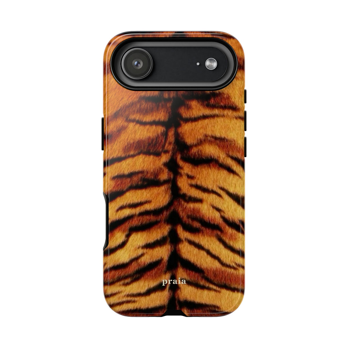 SAHARA TIGRESS
