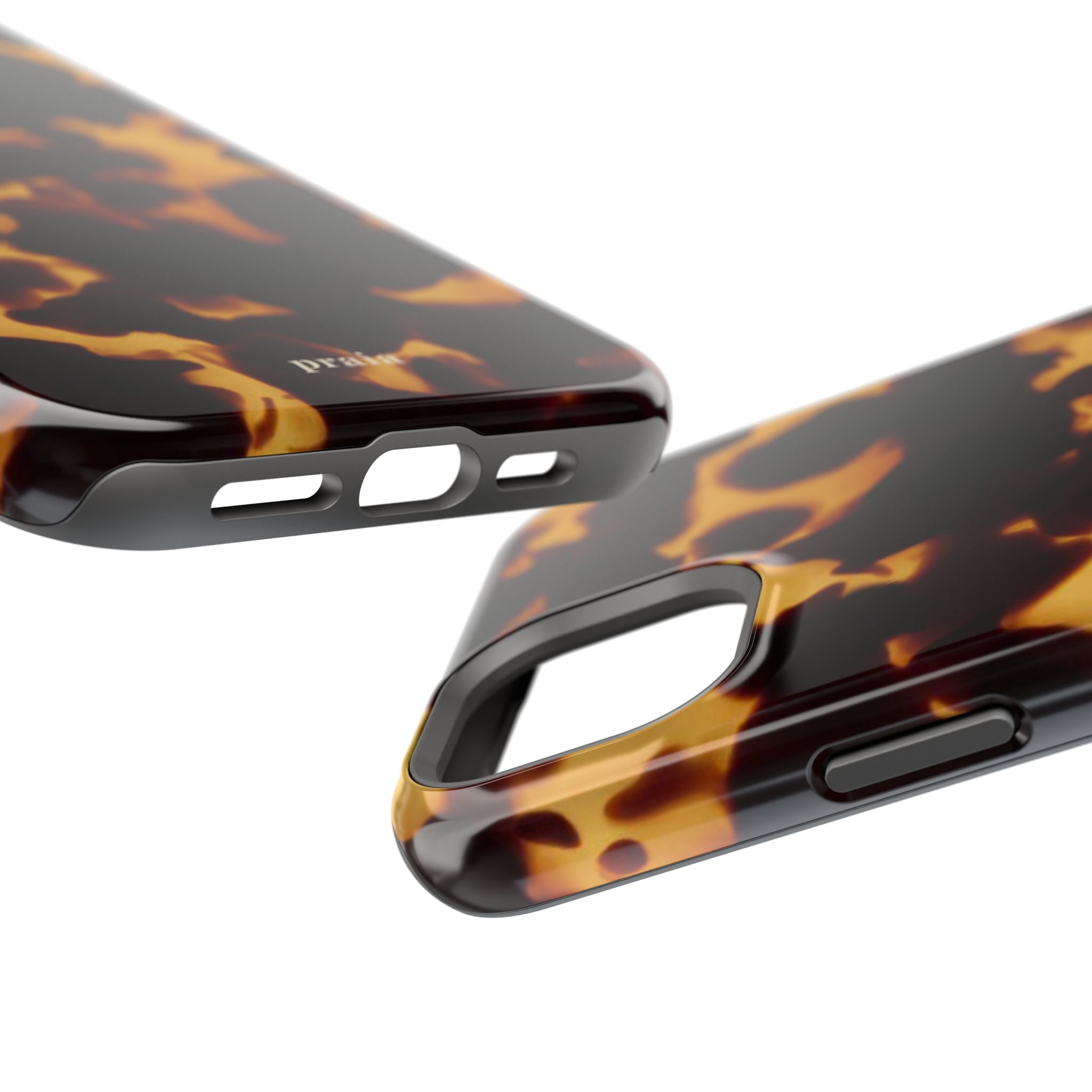 Tortoise Flame