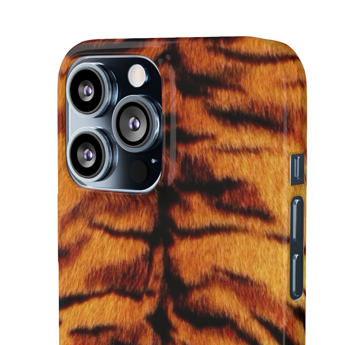 SAHARA TIGRESS