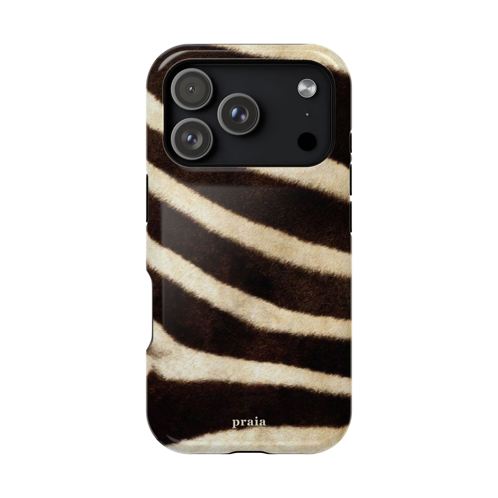 Zebra Dusk