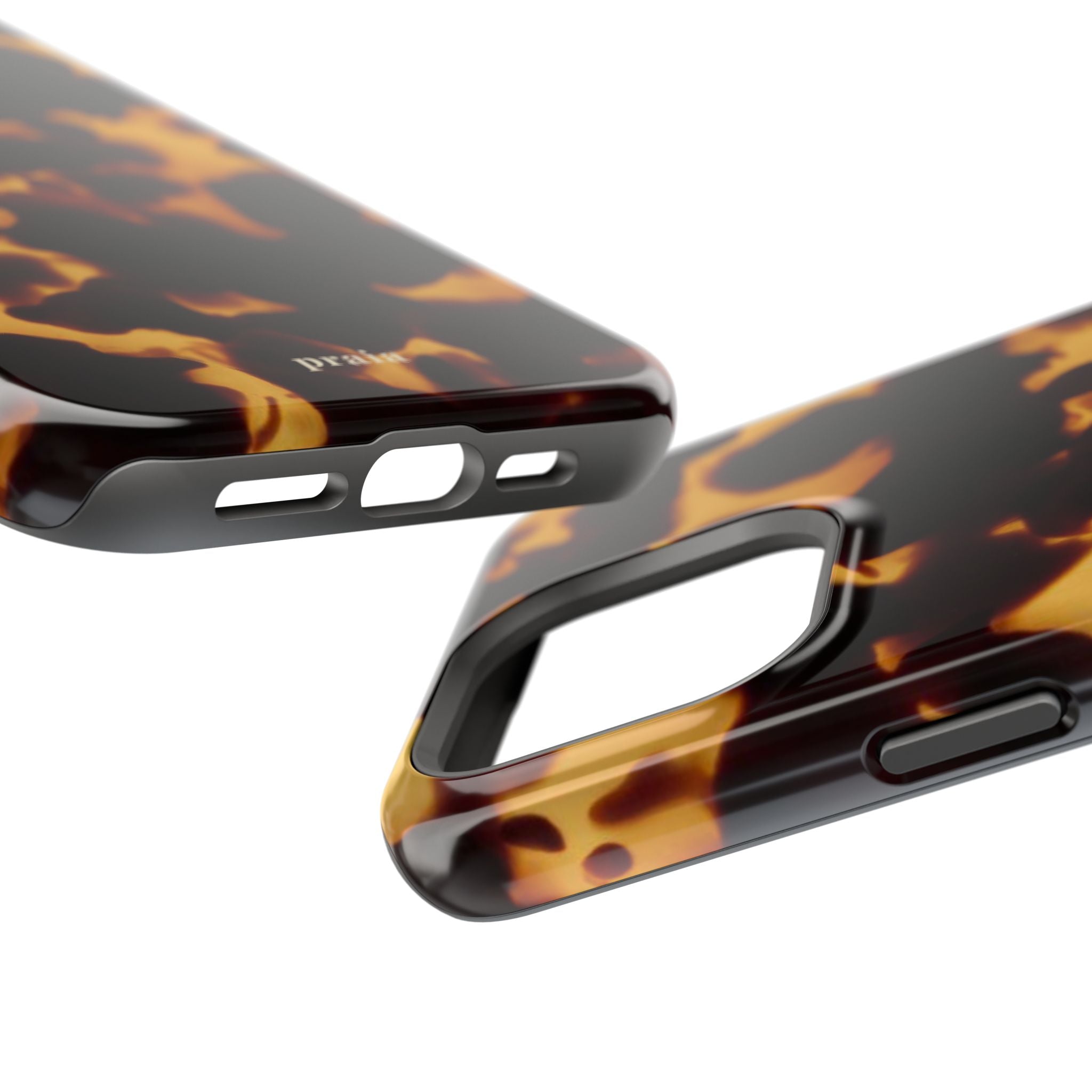 Tortoise Flame