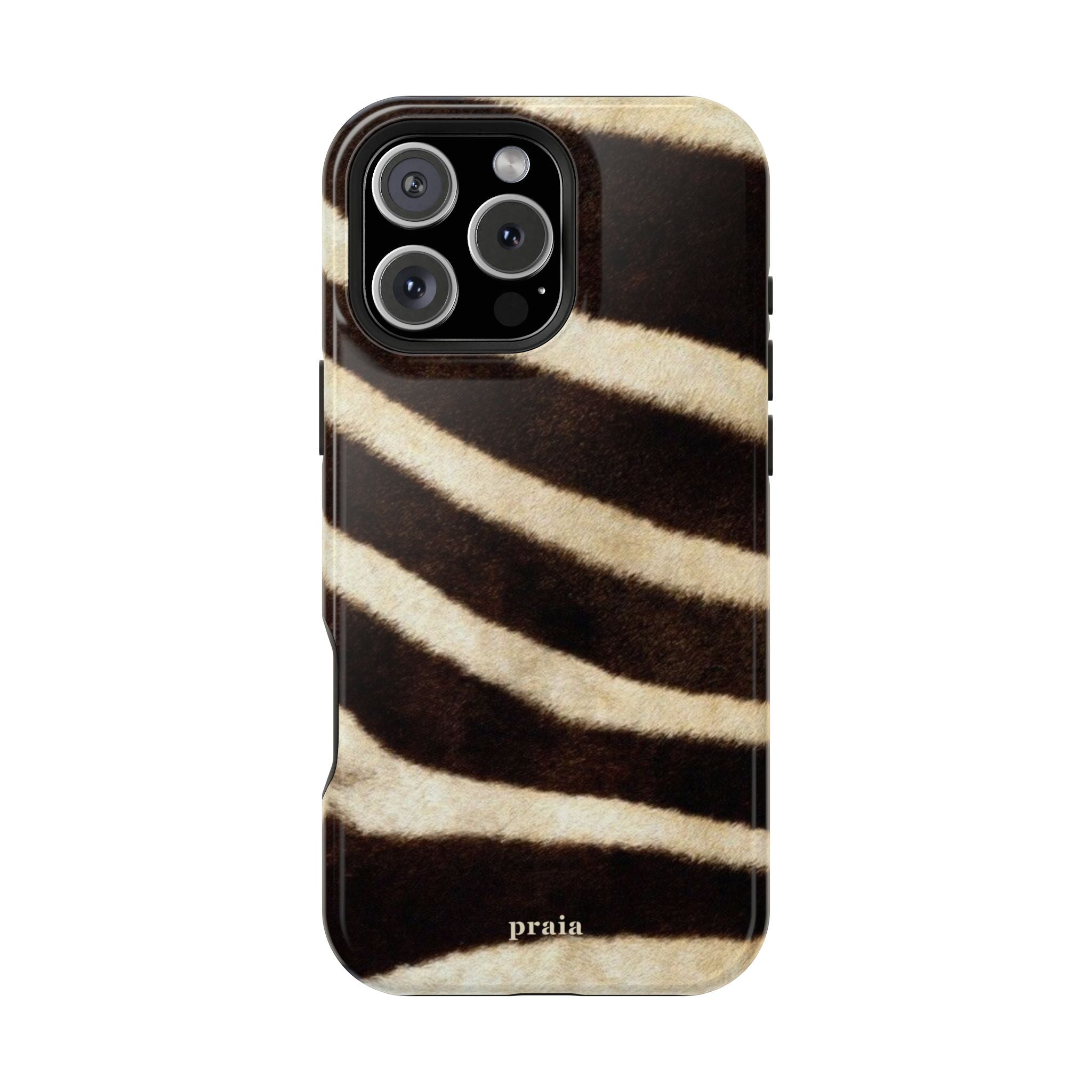 Zebra Dusk